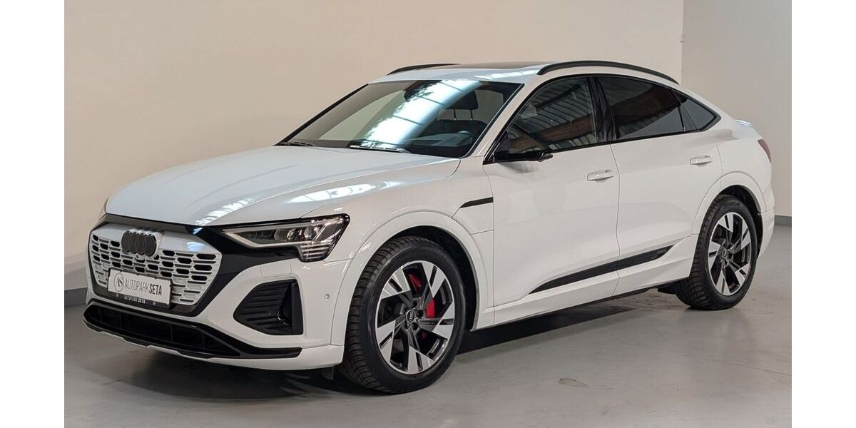 Audi Q8 e-tron 105.000 km 43.975 &euro; Ellerhoop bei Hamburg 25373