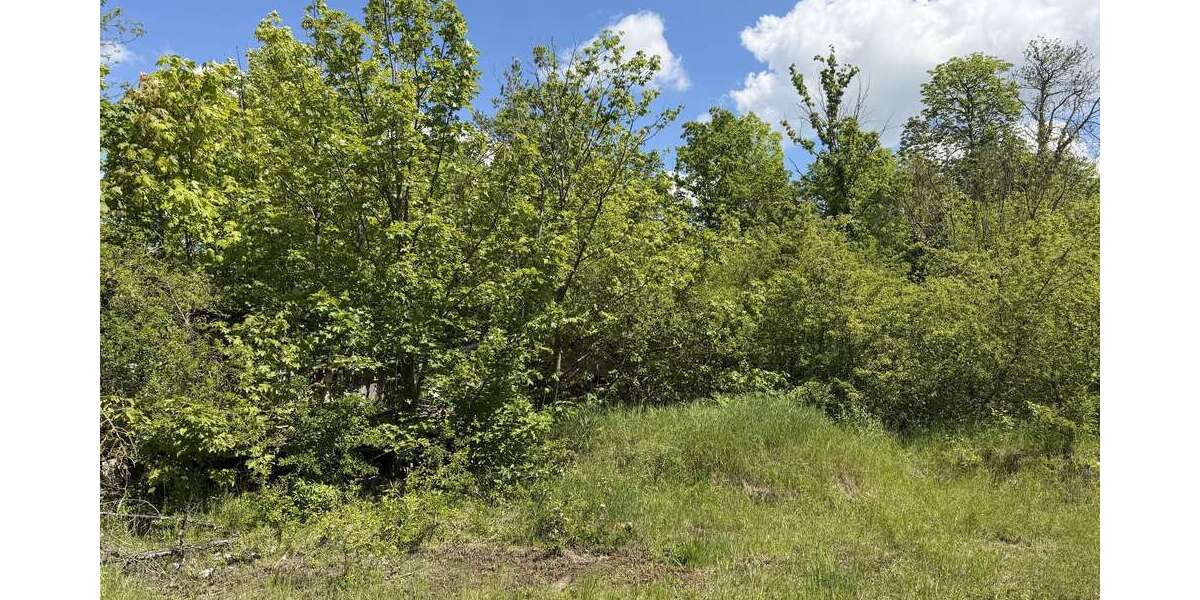 Grundstück Strehla - 89.000&euro; | Angebot:26671808
