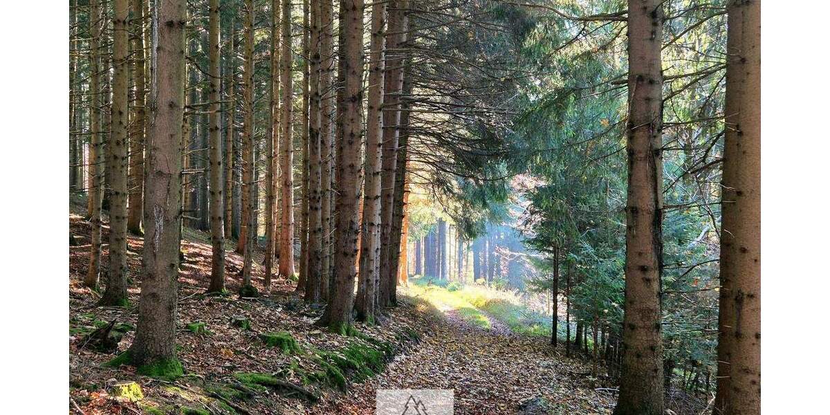 Grundstück Eggenthal Völken - 84.900&euro; | Angebot:25689866