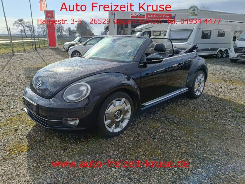 Beetle