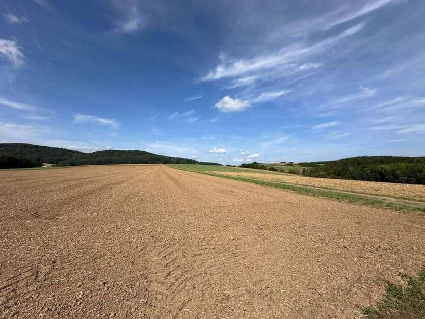 Grundstück in Bad Staffelstein 300.000 € 26035 m²