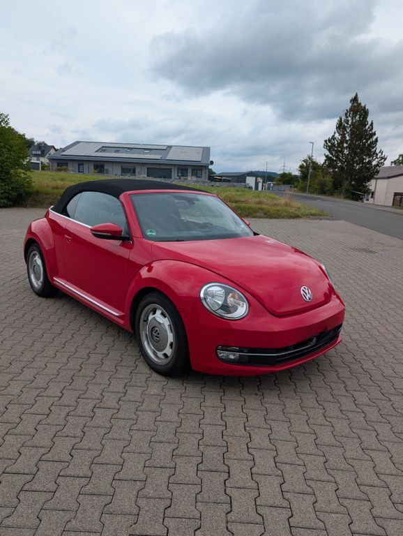 Beetle