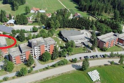 Wohnung Neureichenau - 1.5 Zimmer, 32 m&sup2;, 45.000&euro; | Angebot:26274003