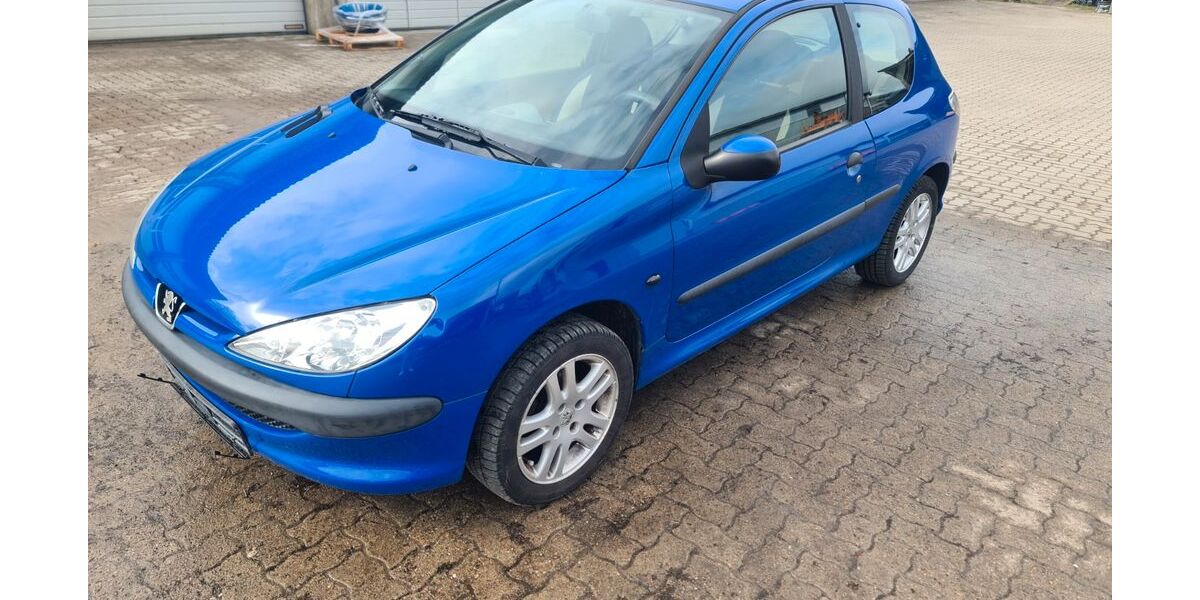 Peugeot 206 162.360 km 1.999 &euro; Husum 25813