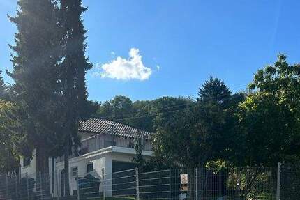 Haus Freisen Reitscheid - 8 Zimmer, 290 m&sup2;, 445.000&euro; | Angebot:23954423