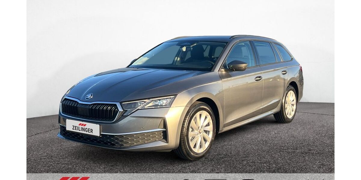 Skoda Octavia 1.010 km 31.444 &euro; Dietersheim 91463