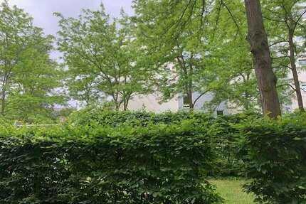 Wohnung zum Kaufen in Nürnberg 365.000 € 79 m²