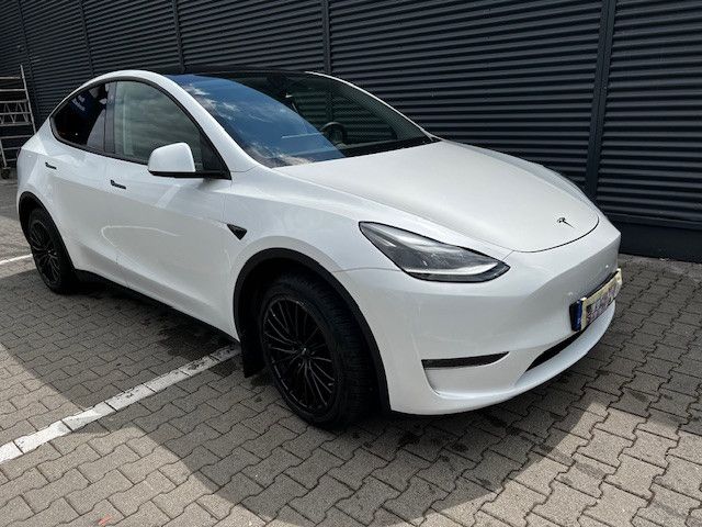 Model Y
