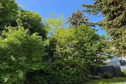 Wohnung zum Kaufen in Bad Soden am Taunus 565.000 € 88.32 m²