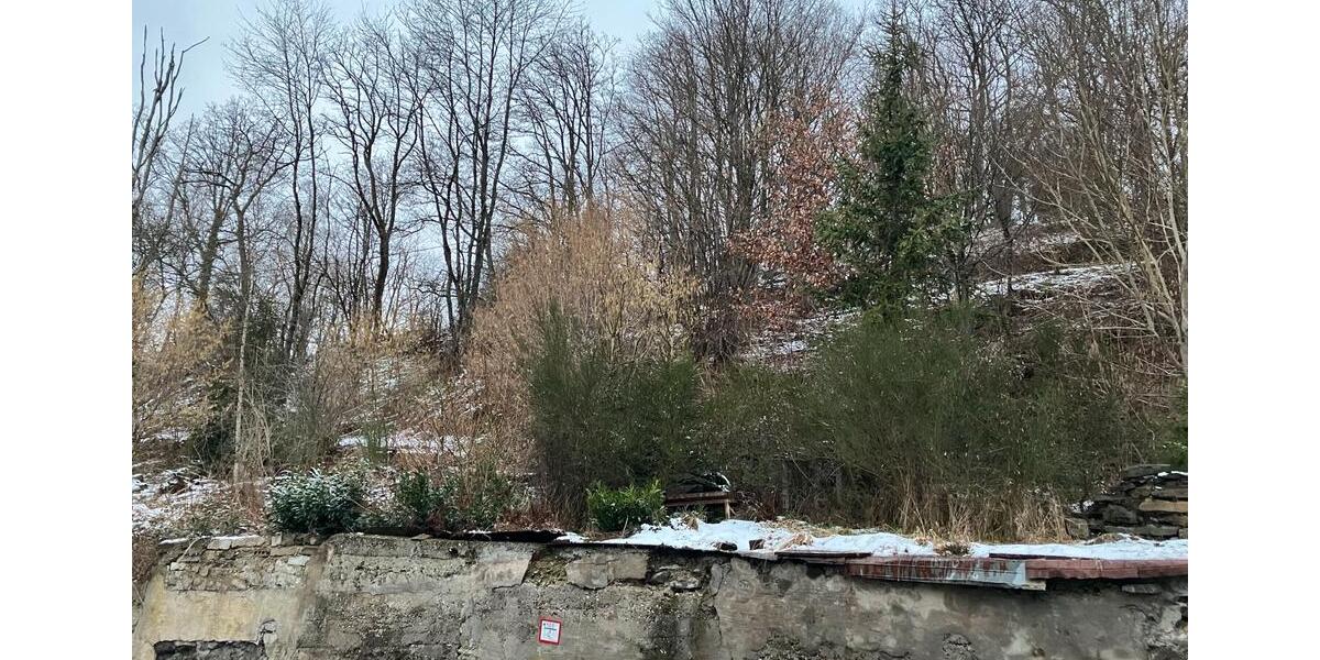 Einfamilienhaus Freudenberg - 45.000&euro; | Angebot:26336303