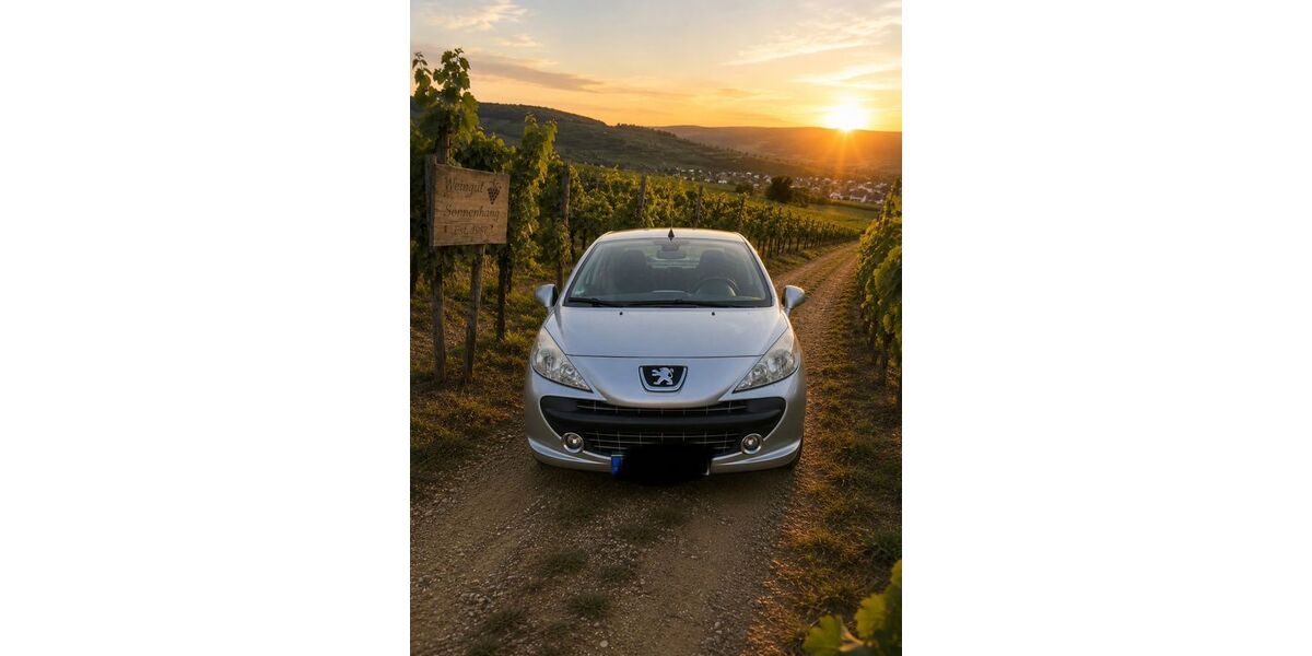 Peugeot 207 162.975 km 2.900 &euro; Gerolsheim 67229