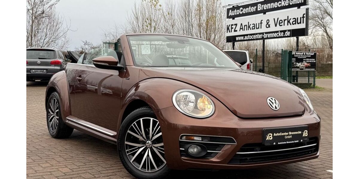 VW Beetle 57.000 km 15.950 &euro; Magdeburg 39118
