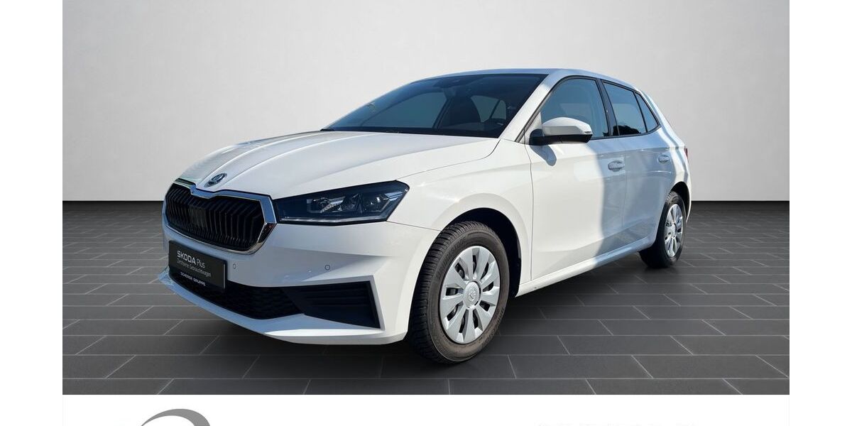 Skoda Fabia 15.133 km 15.980 &euro; Mainz 55129
