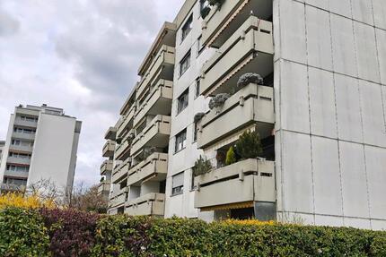 Wohnung Ettlingen - 1 Zimmer, 42 m&sup2;, 215.000&euro; | Angebot:26336206