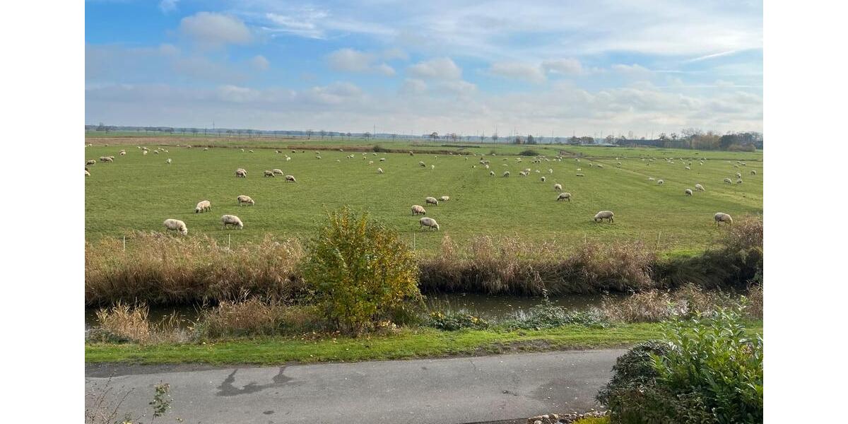 Einfamilienhaus Hagen im Bremischen - 6 Zimmer, 140 m&sup2;, 299.000&euro; | Angebot:24278575