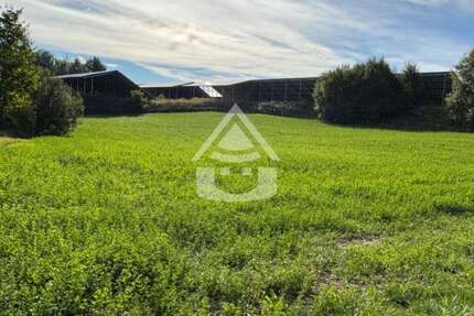 Grundstück Hohenberg an der Eger - 150.000&euro; | Angebot:22999229