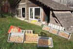 Bauernhaus, Landhaus Plate - 400.000&euro; | Angebot:27025838