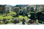 Einfamilienhaus Hofheim am Taunus - 9 Zimmer, 175 m&sup2;, 769.000&euro; | Angebot:26876267