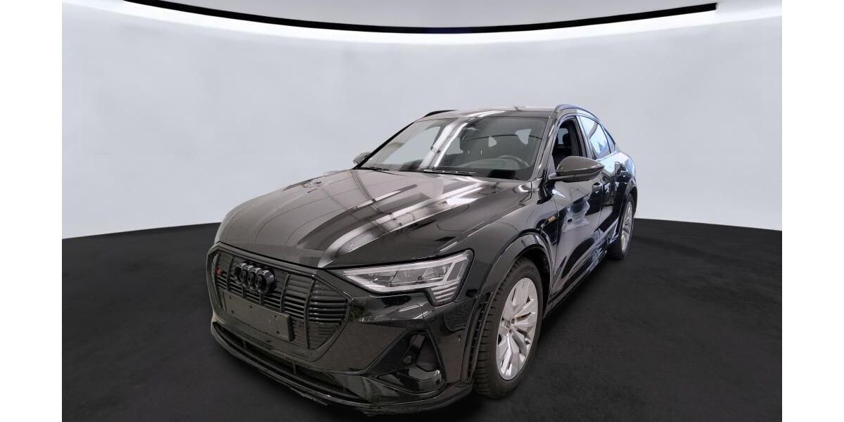 Audi e-tron 115.000 km 37.990 &euro; Peine 31226