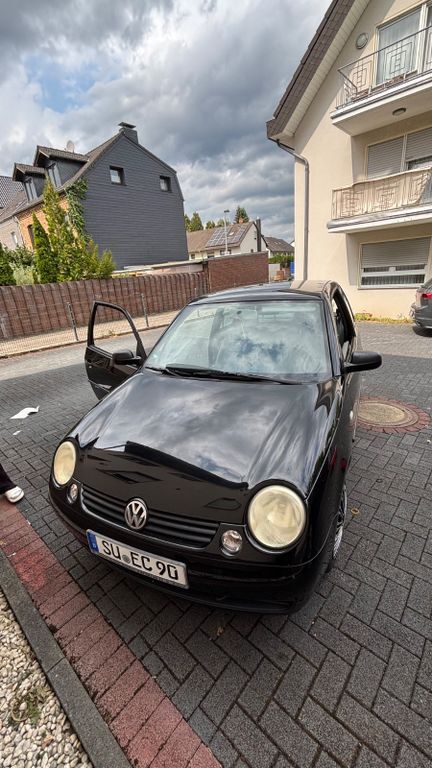 Lupo