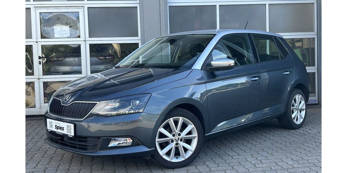 Skoda Fabia 100.711 km 9.990 &euro; Nortorf 24589
