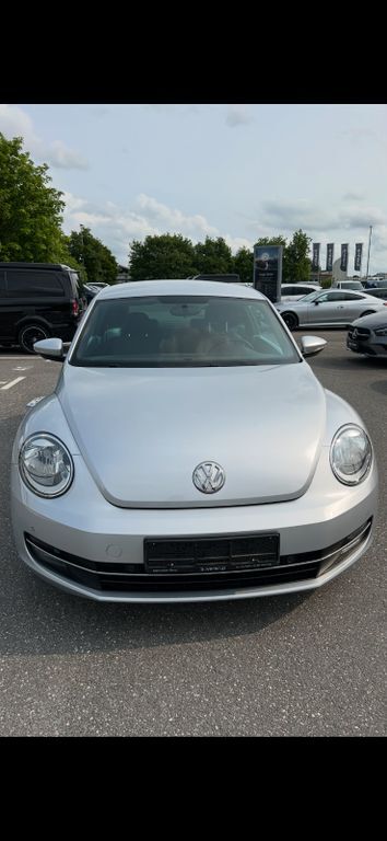 Beetle