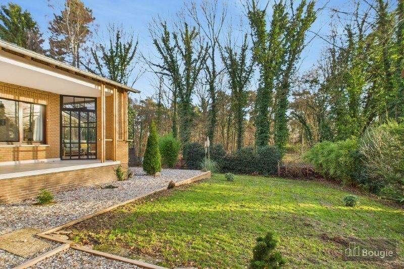 Schöner Grundriss und Blick ins Grüne, Wohlfühlen inklusive! 6 zimmer