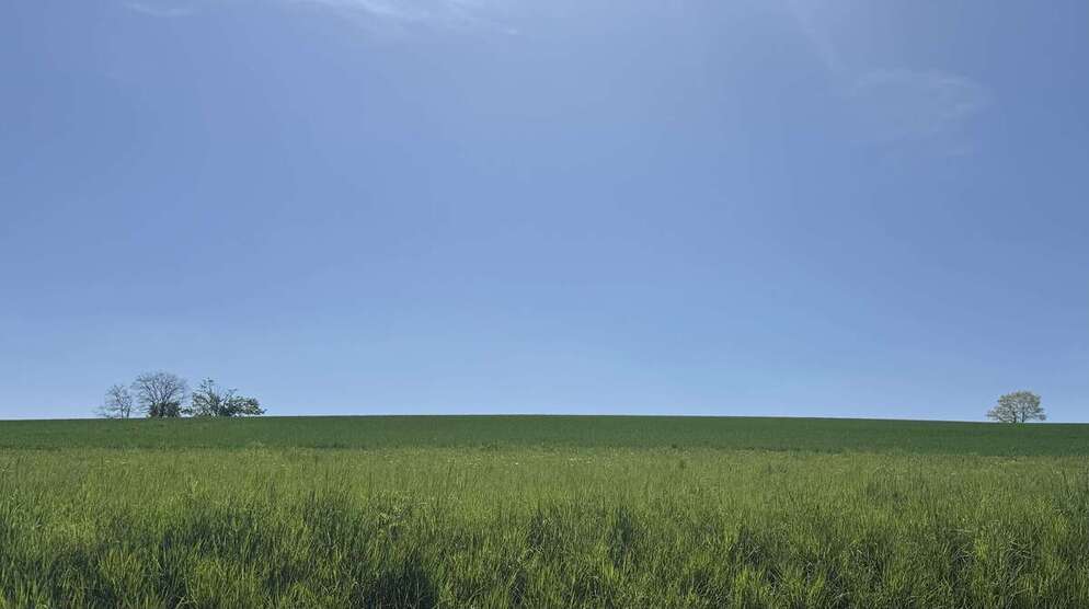 Grundstück zu verkaufen in Herzogenaurach 219.000 € 500 m² zimmer