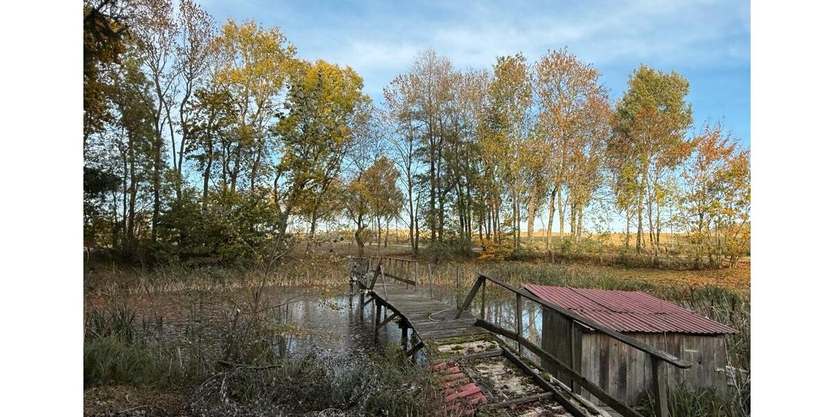 Bauernhaus, Landhaus Prenzlau - 6 Zimmer, 198 m&sup2;, 370.000&euro; | Angebot:25960476