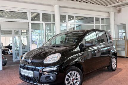 Fiat Panda 43.100 km 9.250 &euro; Homburg/Saar 66424