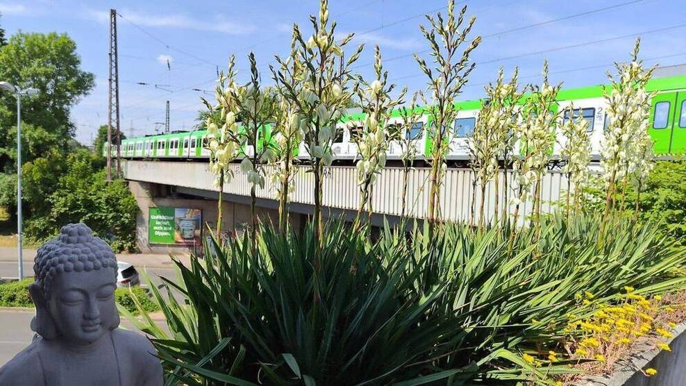 Hotel am Hbf - verkehrsgünstig Lage
