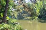 Grundstück Coswig (Anhalt) Coswig - 55.000&euro; | Angebot:26204759