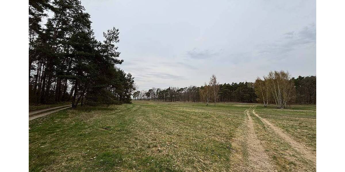 Versteigerungsimmobilie Bad Düben Schnaditz - 10.000&euro; | Angebot:26290943