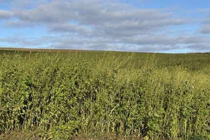 Grundstück Weng Hinzlbach - 283.716&euro; | Angebot:24607467