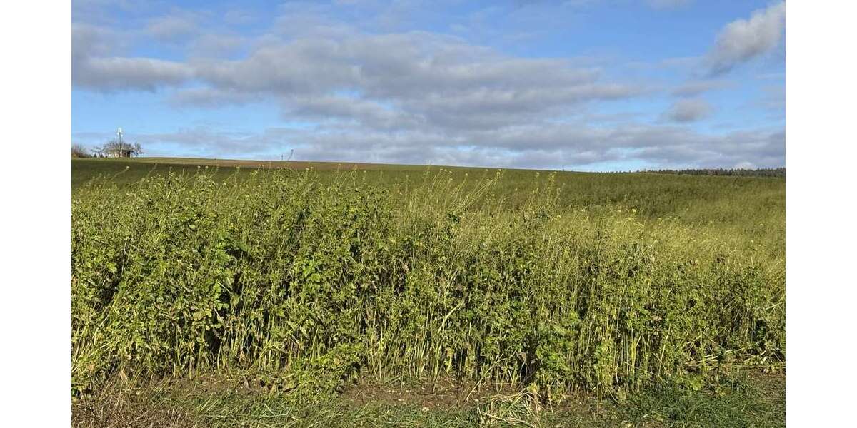 Grundstück Weng Hinzlbach - 283.716&euro; | Angebot:24607467