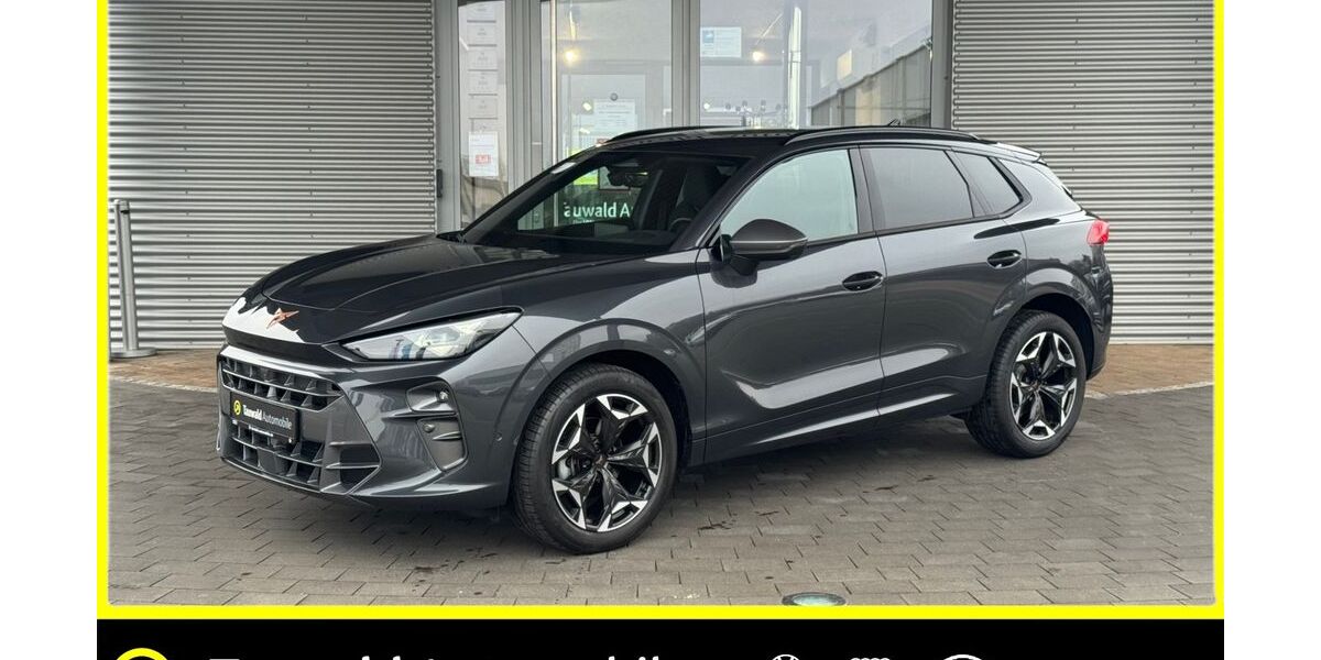 Cupra Terramar 11.800 km 33.780 &euro; Erlangen 91058