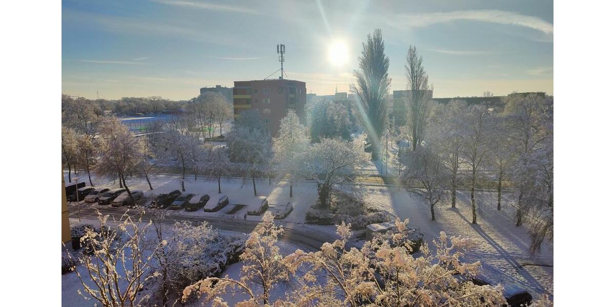 Wohnung an den Sachsendorfer Wiesen zu vermieten 3 zimmer