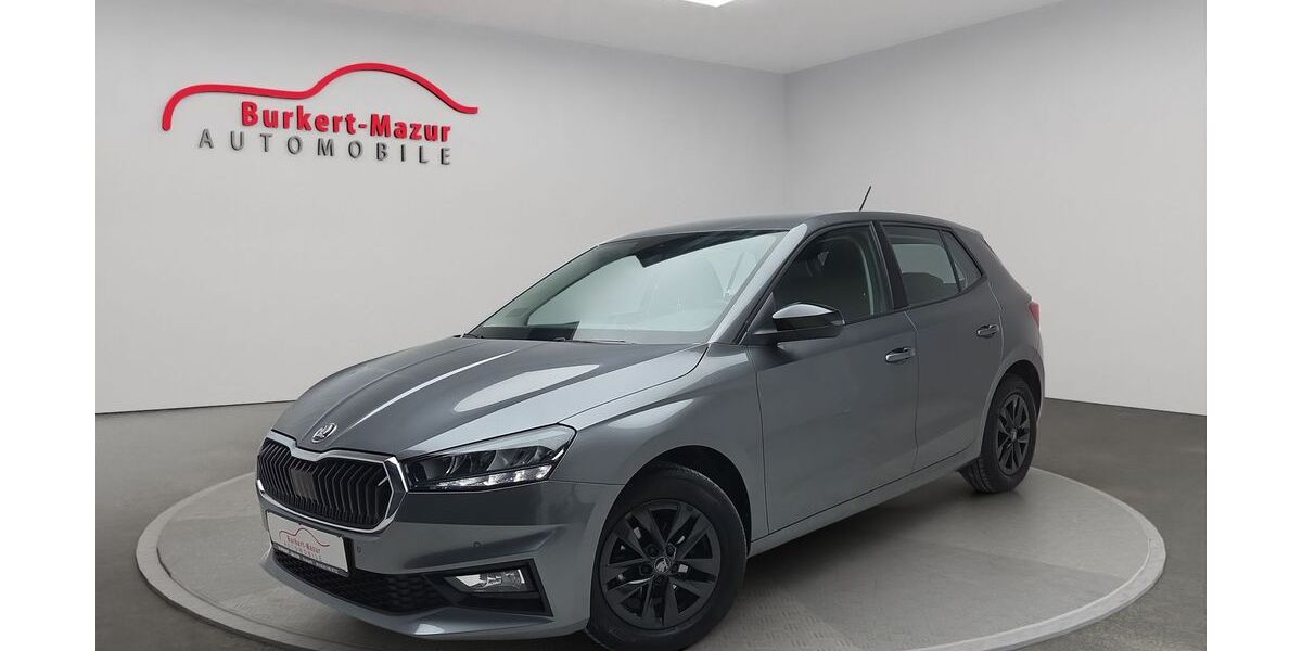 Skoda Fabia 22.500 km 16.985 &euro; Kronach 96317