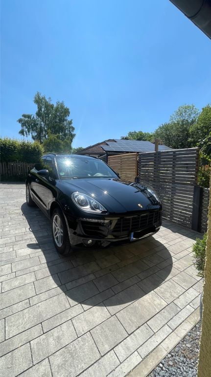 Macan
