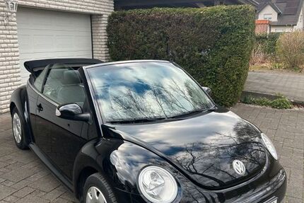 VW Beetle