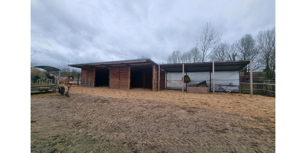 Einfamilienhaus Seelow - 3 Zimmer, 92 m&sup2;, 470.000&euro; | Angebot:25056266