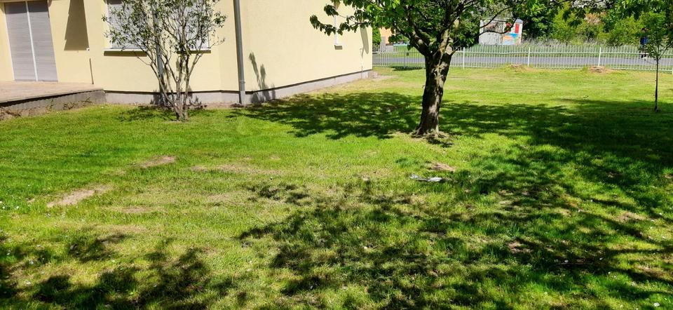 Einfamilienhaus Lebus - 4 Zimmer, 124 m&sup2;, 295.000&euro; | Angebot:26721565