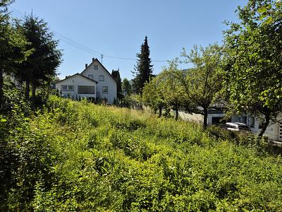 SONNIG & RUHIG MIT ERWEITERUNGSOPTION - Grundstück Tuttlingen | Angebot:27145292