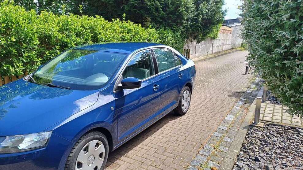 Rapid/Spaceback