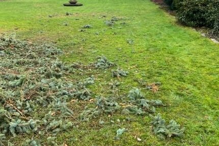 Baugrundstück in Bad Schwartau ohne Baubindung