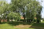 Etagenwohnung Galenbeck - 1 Zimmer, 35 m&sup2;, 192&euro; | Angebot:24891106
