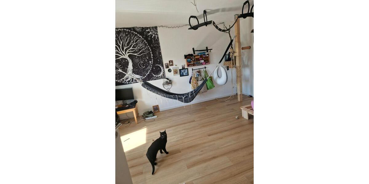 Etagenwohnung Ottendorf-Okrilla Okrilla - 2 Zimmer, 49 m&sup2;, 498&euro; | Angebot:26381421