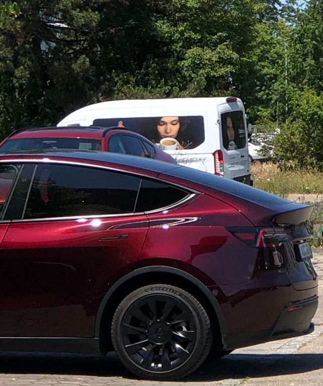 Model Y
