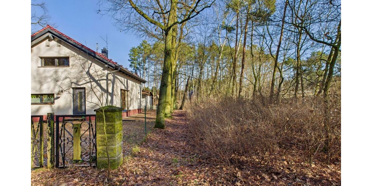 Baugrundstück in kleiner Siedlung - umgeben von Wald und Wiesen - nahe der Spree - Grundstück Grünheide (Mark) | Angebot:25943955