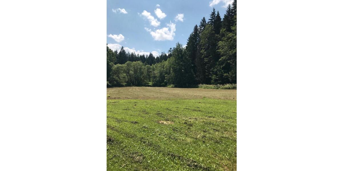 Mehrfamilienhaus, Wohnhaus Plüderhausen - 5.5 Zimmer, 171 m&sup2;, 790.000&euro; | Angebot:26820974